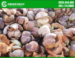 Coconut shell ingredients