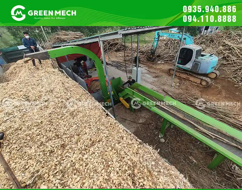 The wood chip market surged strongly after the Lunar New Year